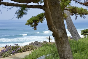 Camastros y toallas de playa