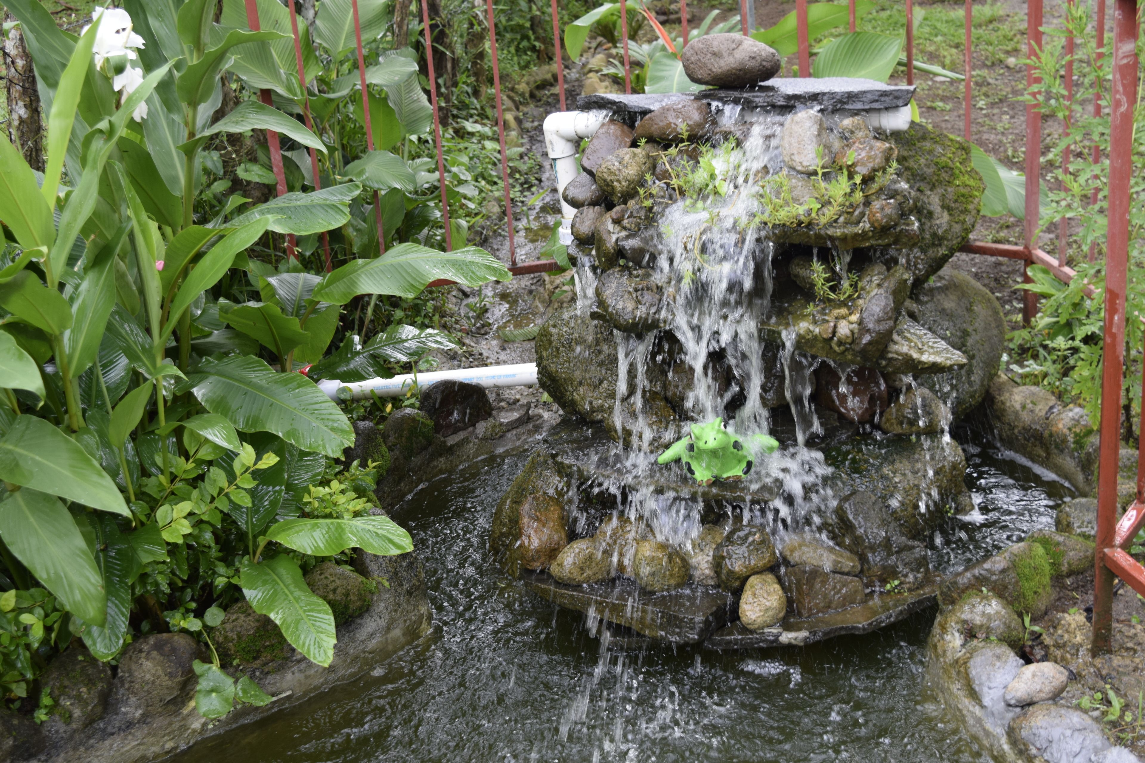 Khuôn viên nơi lưu trú