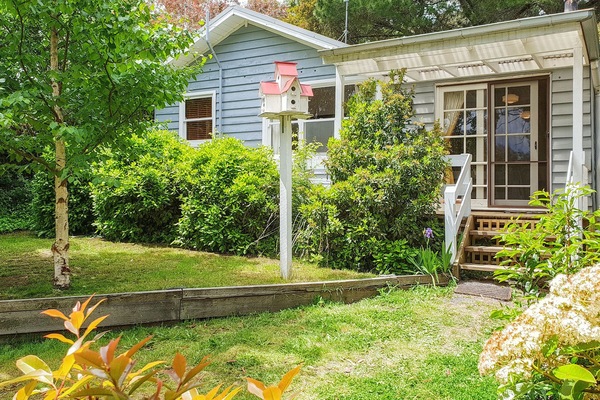 front aspect in spring