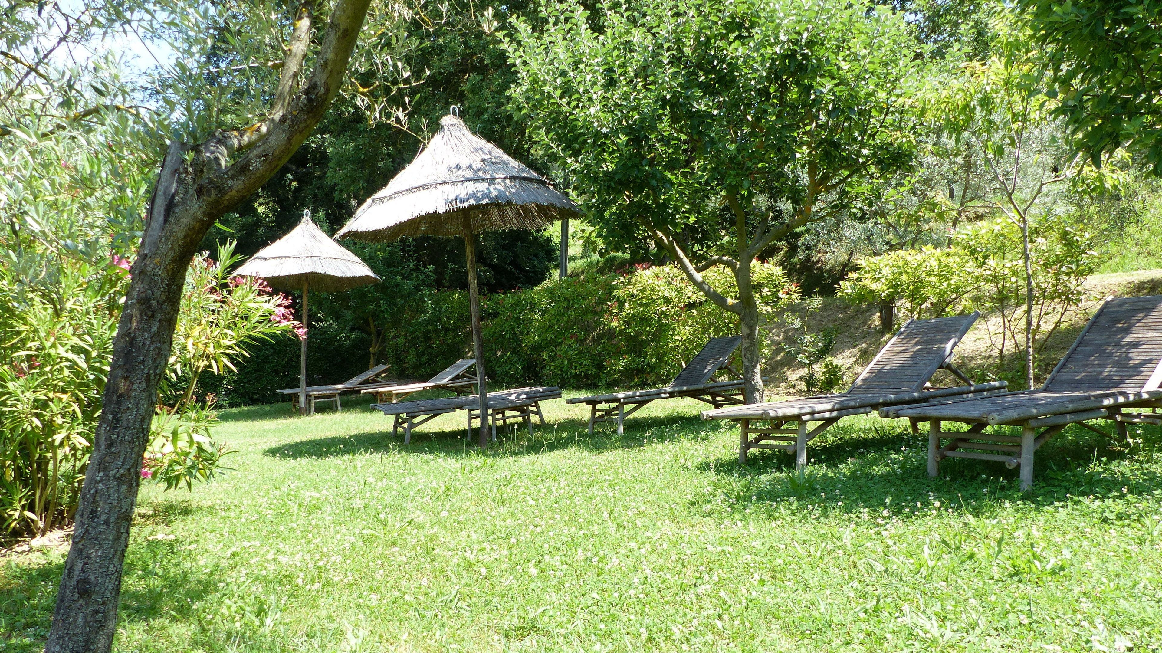A garden with wooden lounge chairs and thatched umbrellas.