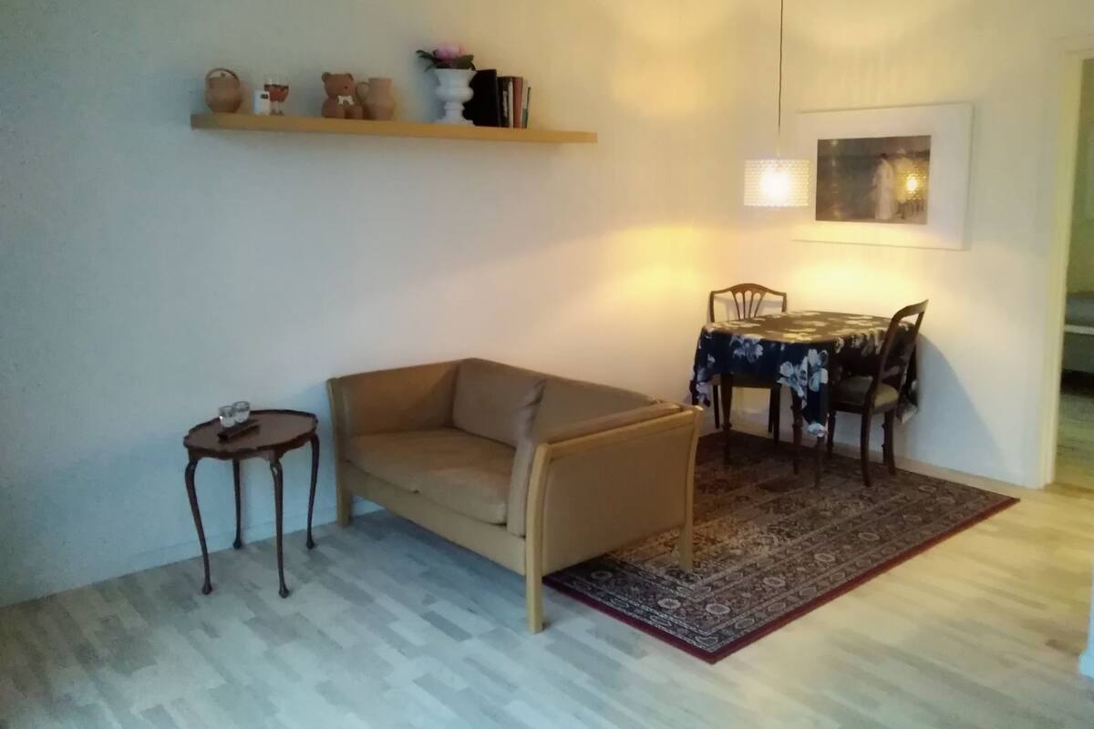 Una sala de estar con un sofá, una mesita auxiliar, una mesa de comedor con sillas y una alfombra. Hay una estantería con adornos y un cuadro en la pared.