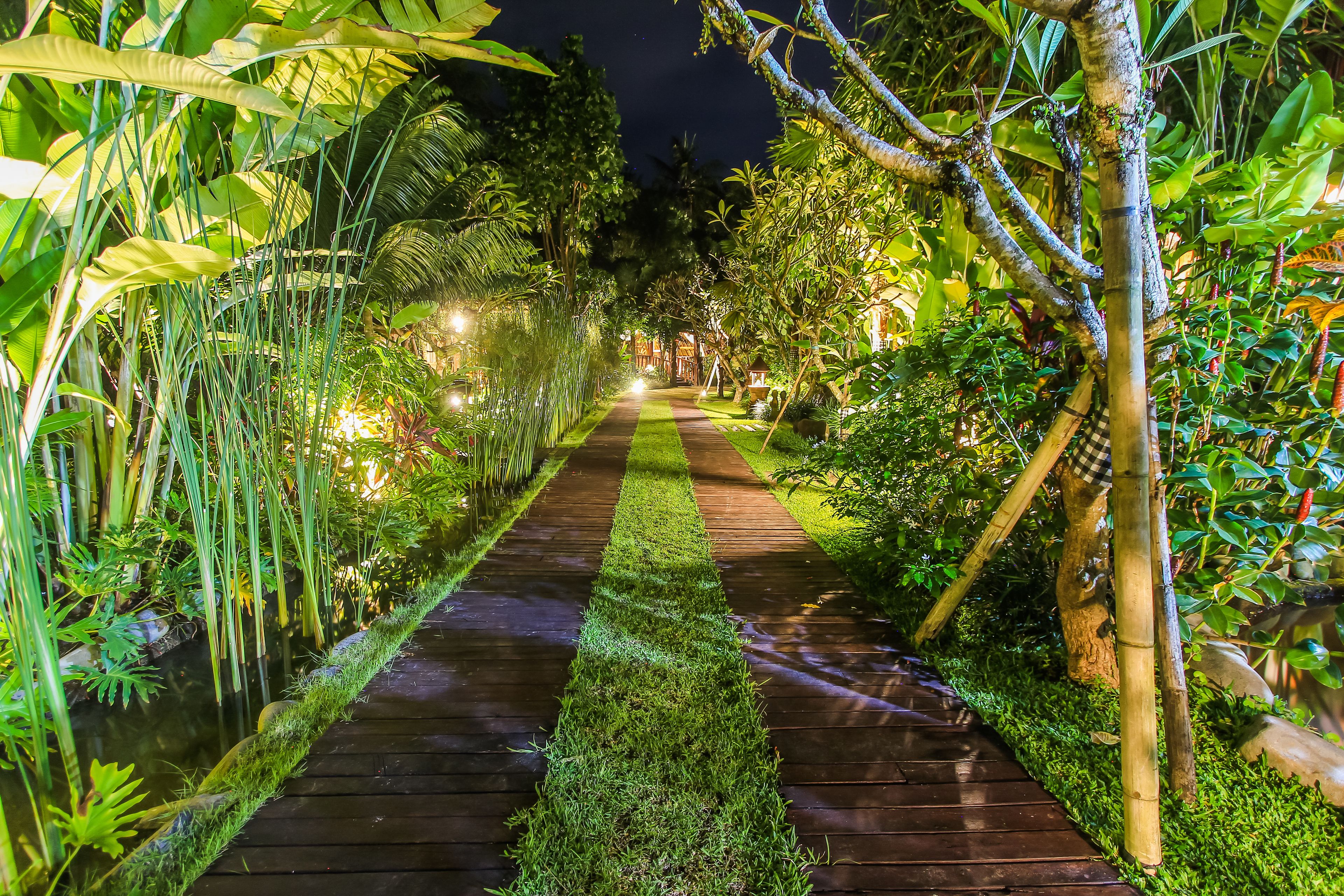 A nighttime garden pathway with wooden decking and lush greenery.