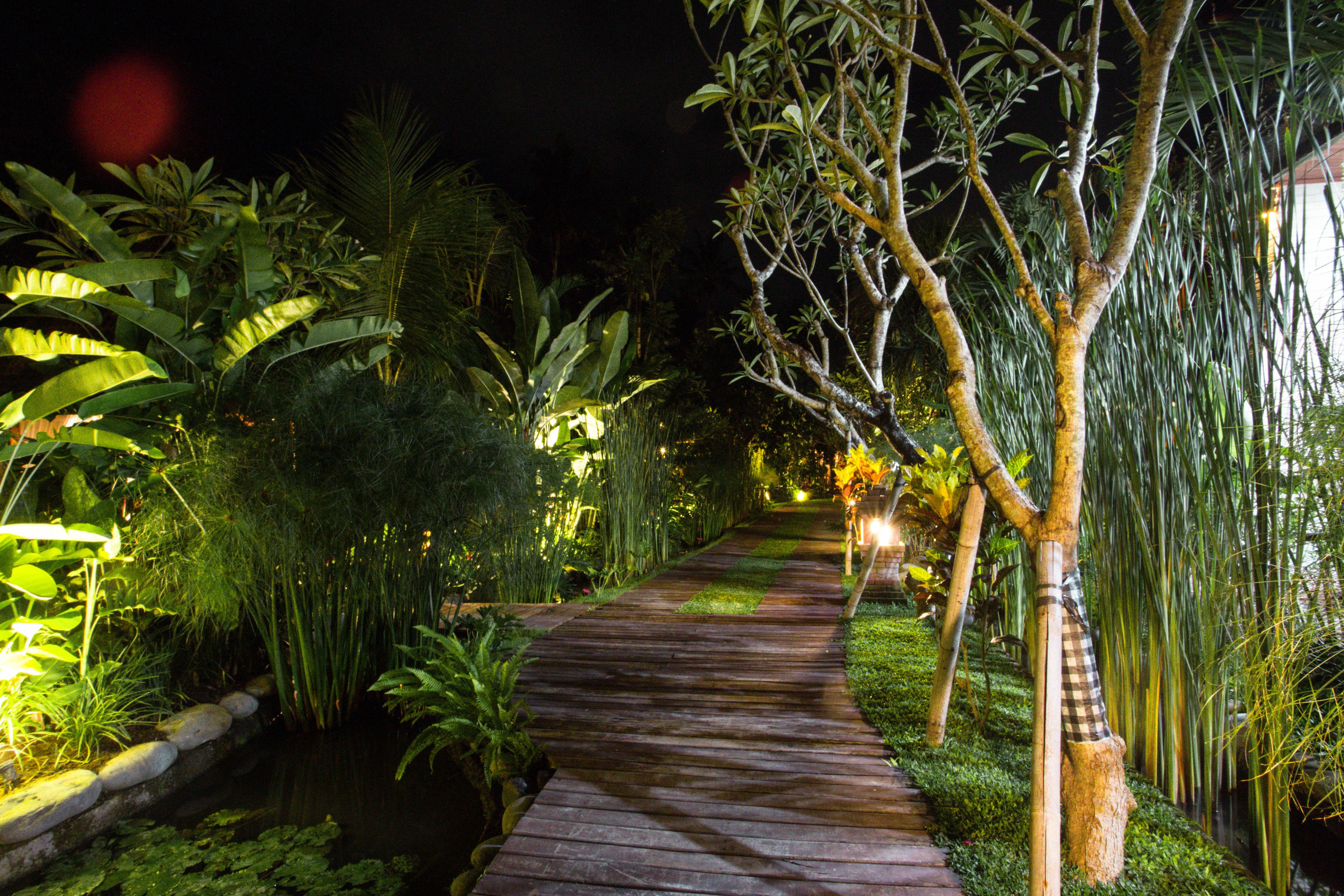 A wooden pathway through a lush garden at night.