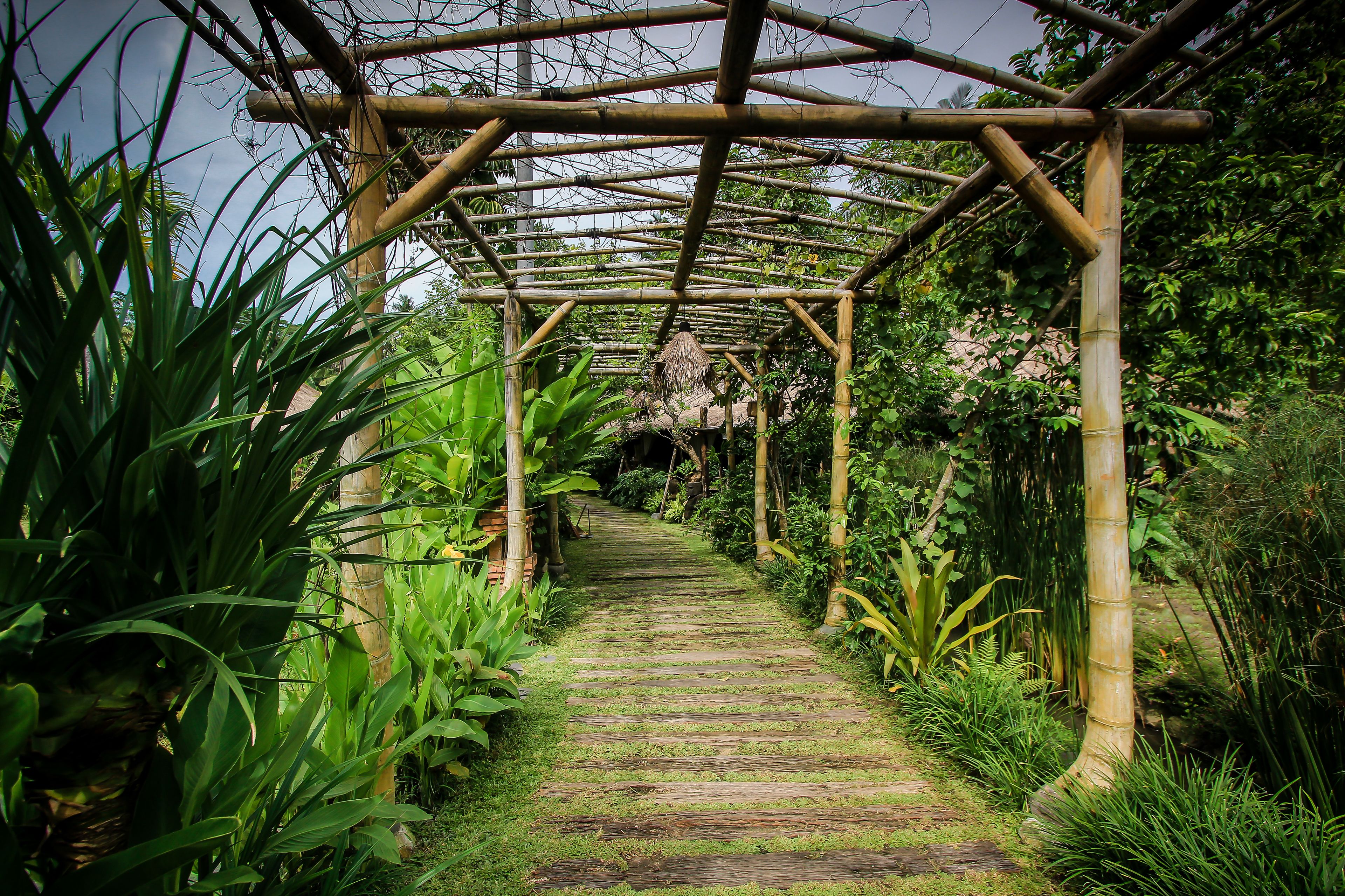 Een pergola van bamboe met een houten pad dat door een weelderige tuin loopt.