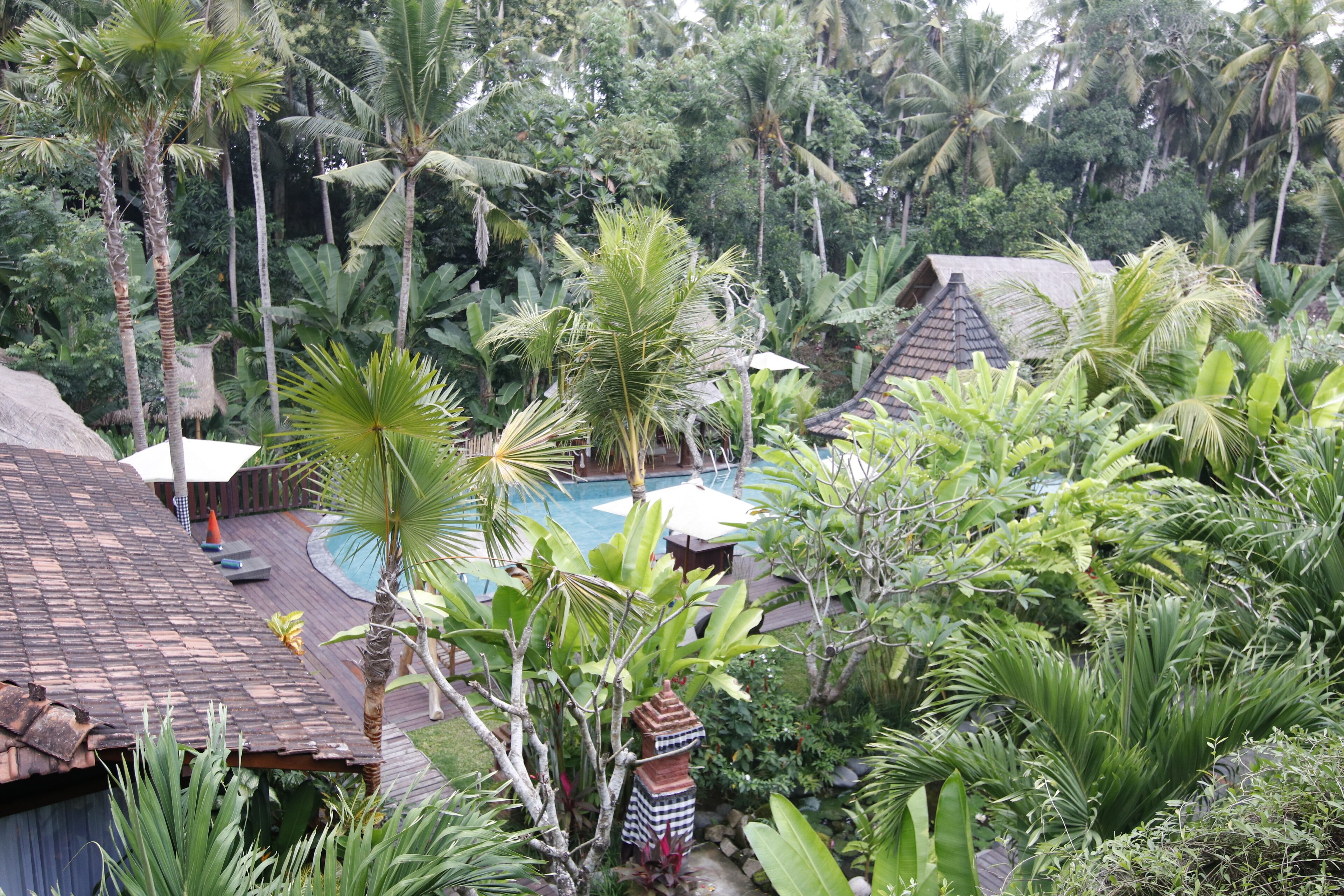 Un resort tropical con piscina rodeada de exuberante vegetación y cabañas de techo de paja.
