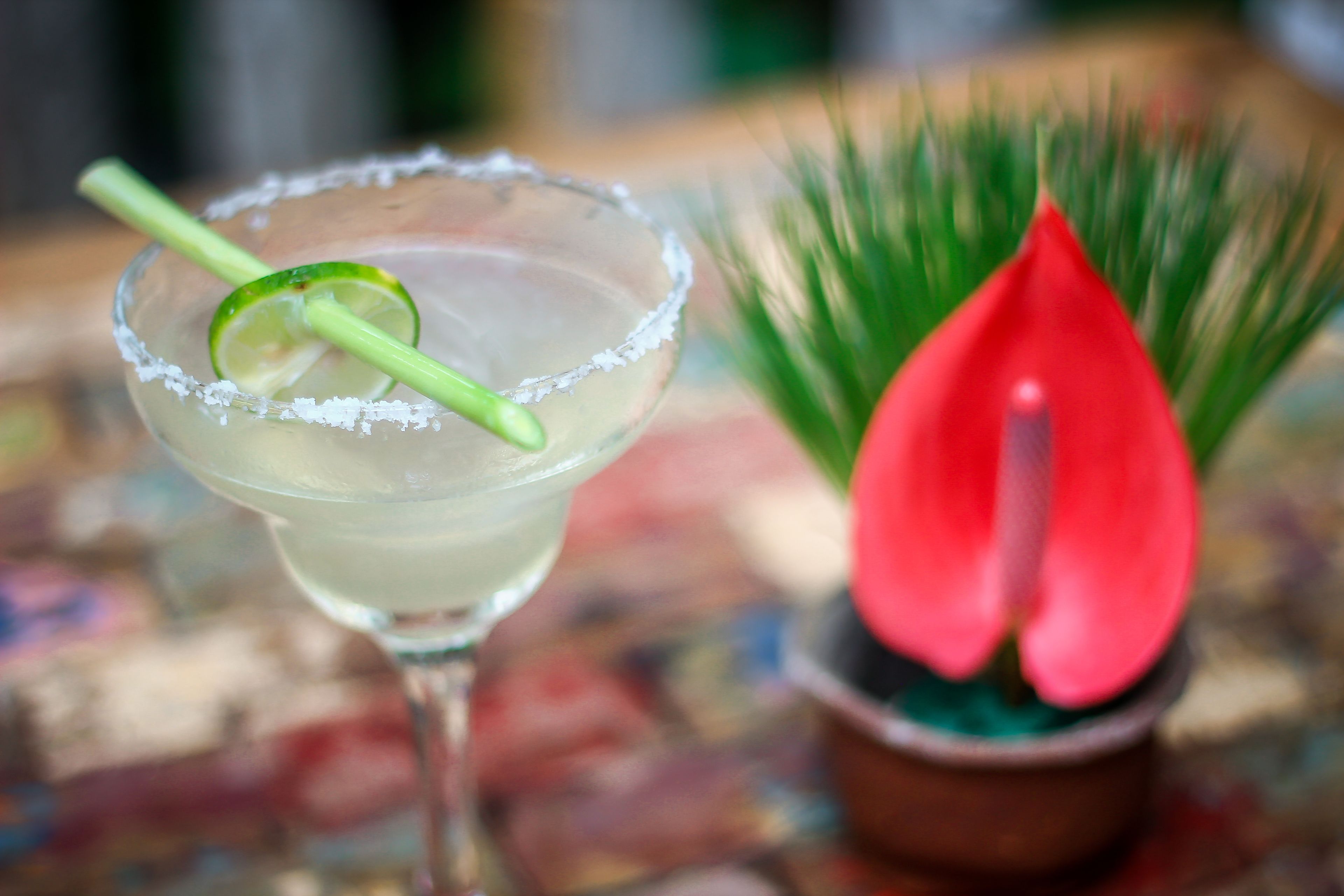 Ett cocktailglas med en limeskiva som garnering och en saltkant, en röd blomma och en suddig bakgrund.