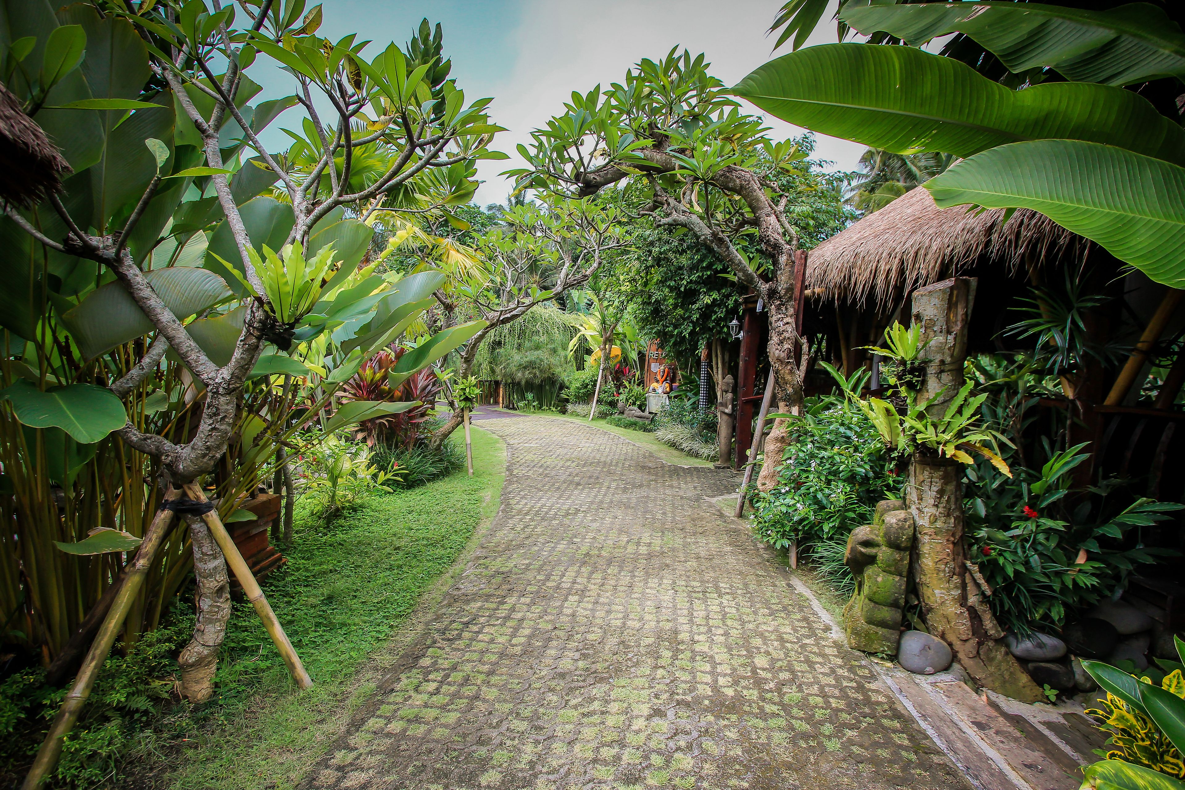 A cobblestone pathway leading through a lush garden with tropical plants and a thatched-roof structure.