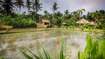 A tropical garden with a pond, palm trees, and traditional huts.
