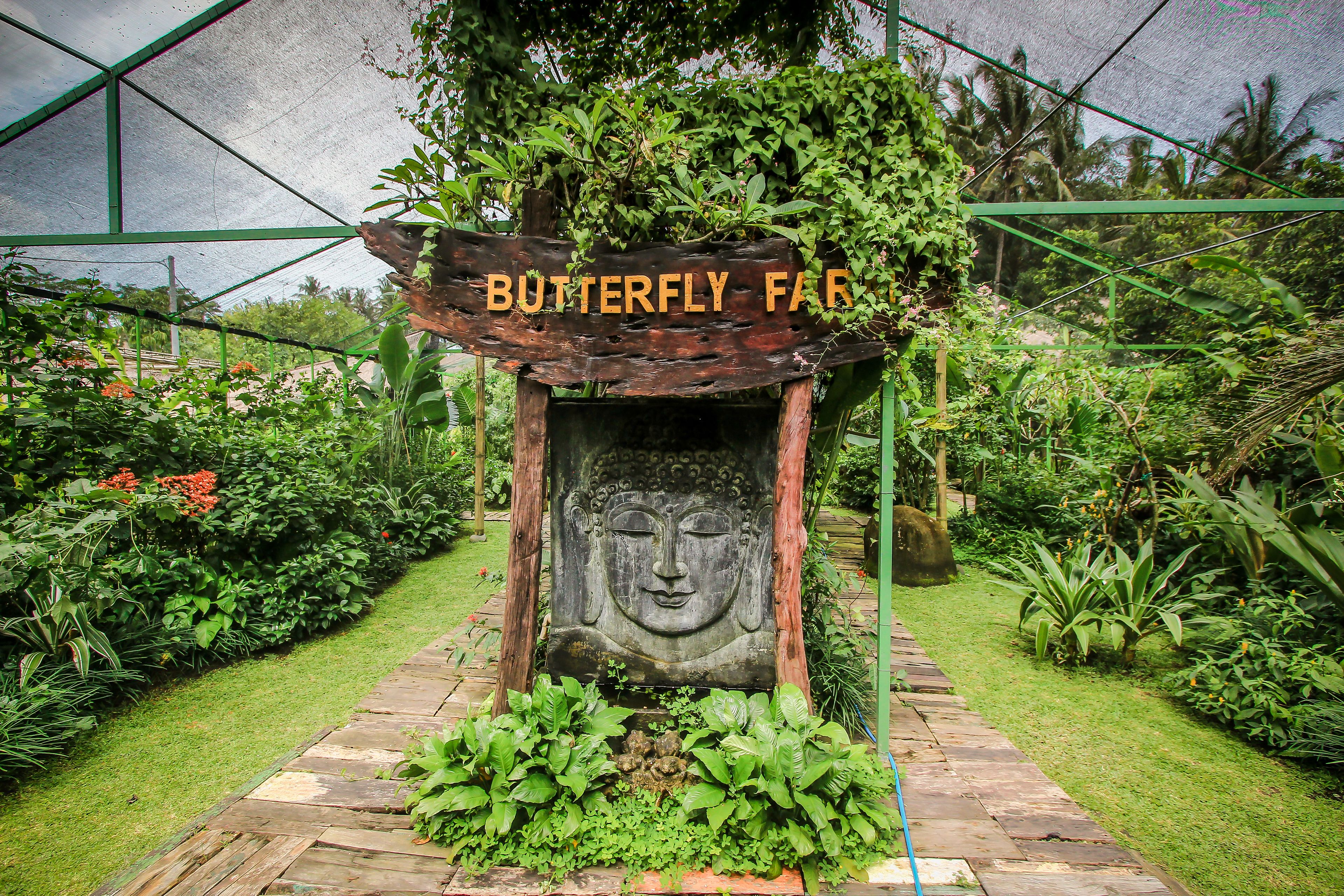A garden pathway leading to a wooden sign with a Buddha statue, surrounded by lush greenery and tropical plants.