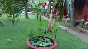 Jardines del alojamiento