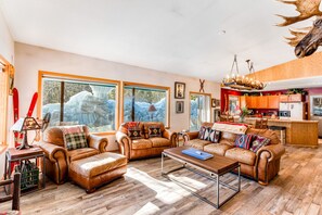 Télévision, cheminée, lecteur de DVD, livres