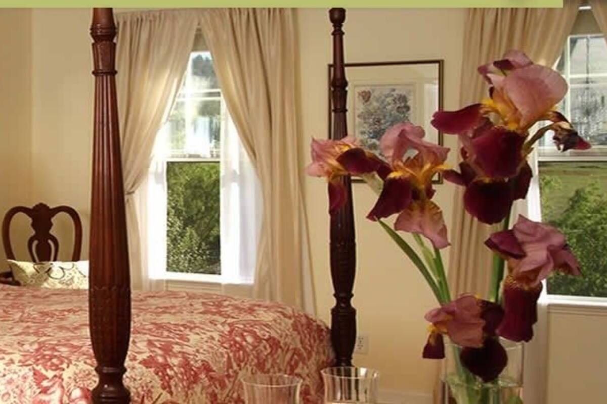 Soothing Waters | WiFi (free), individually decorated, individually furnished, bed sheets