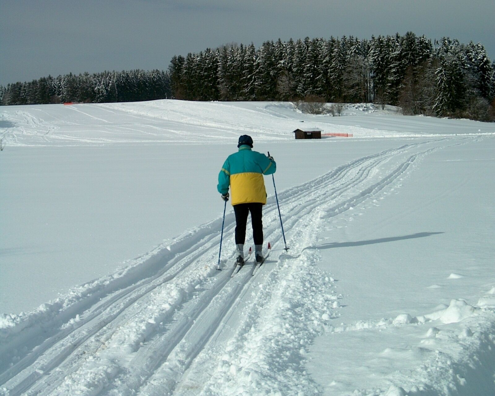 Une personne pratiquant le ski de fond sur une piste enneigée, avec des arbres en arrière-plan.
