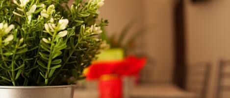 A potted plant with green leaves and white flowers in a metal pot.