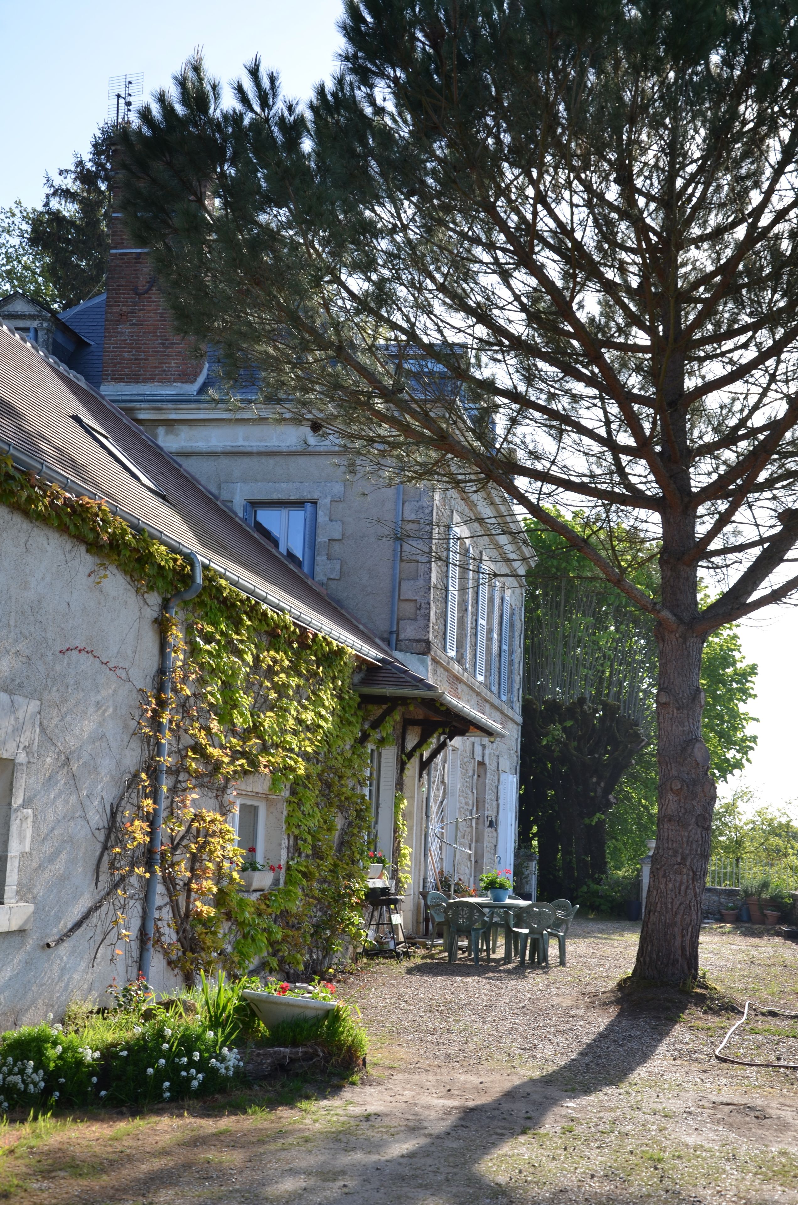 テラス / パティオ