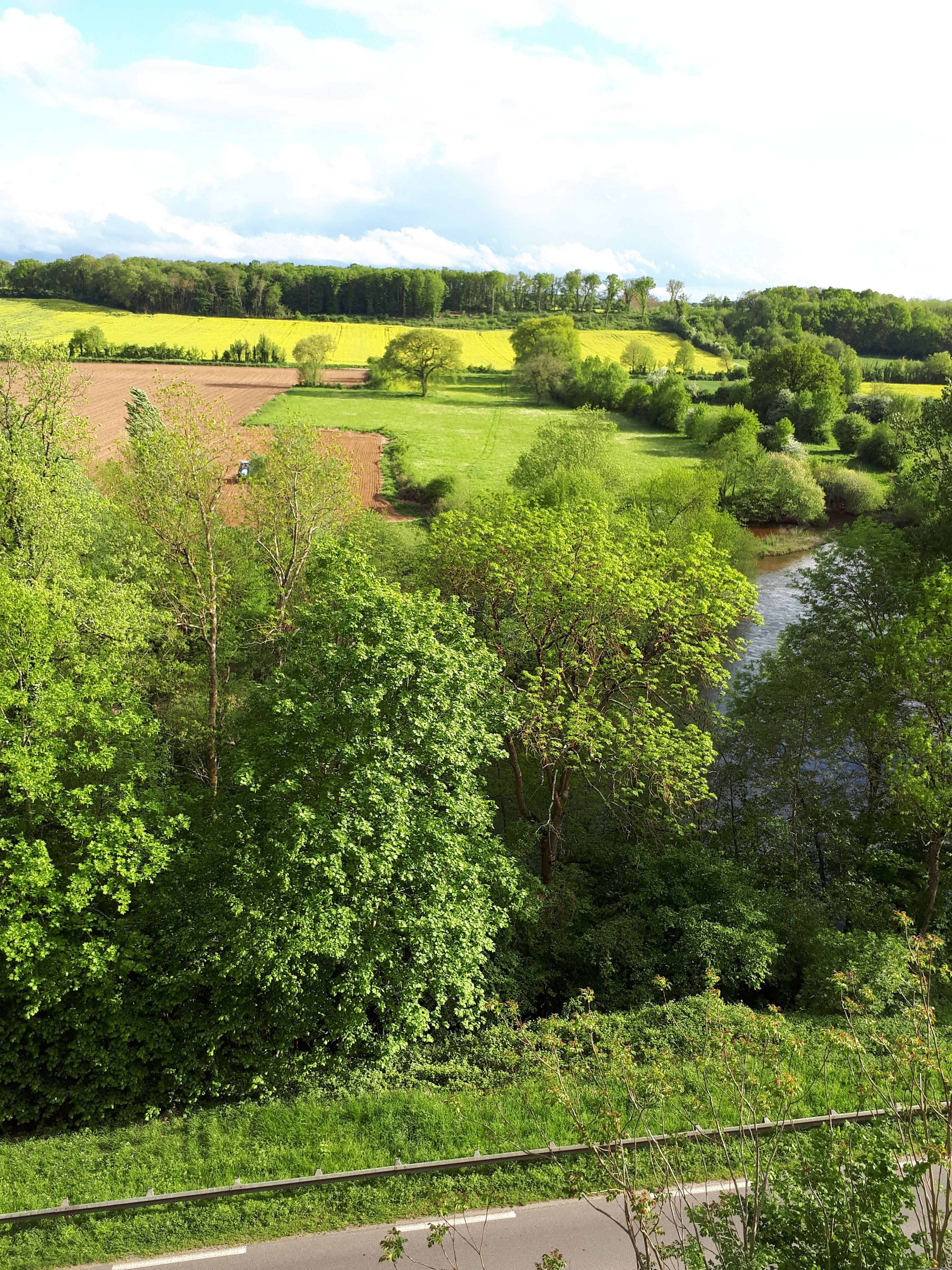 A rural landscape with a river, fields, and trees.