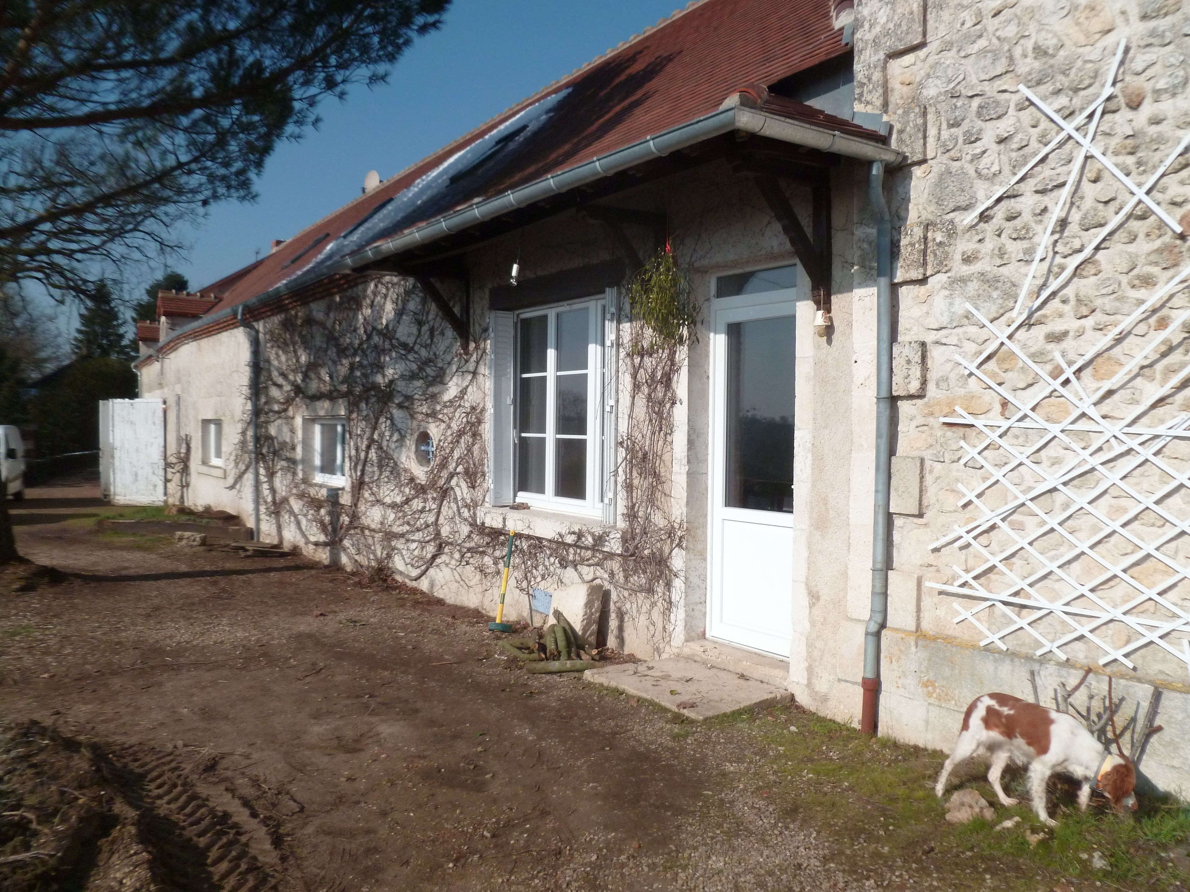 A rustic stone building with a sloped roof, a wooden door, and a small garden area with a dog.