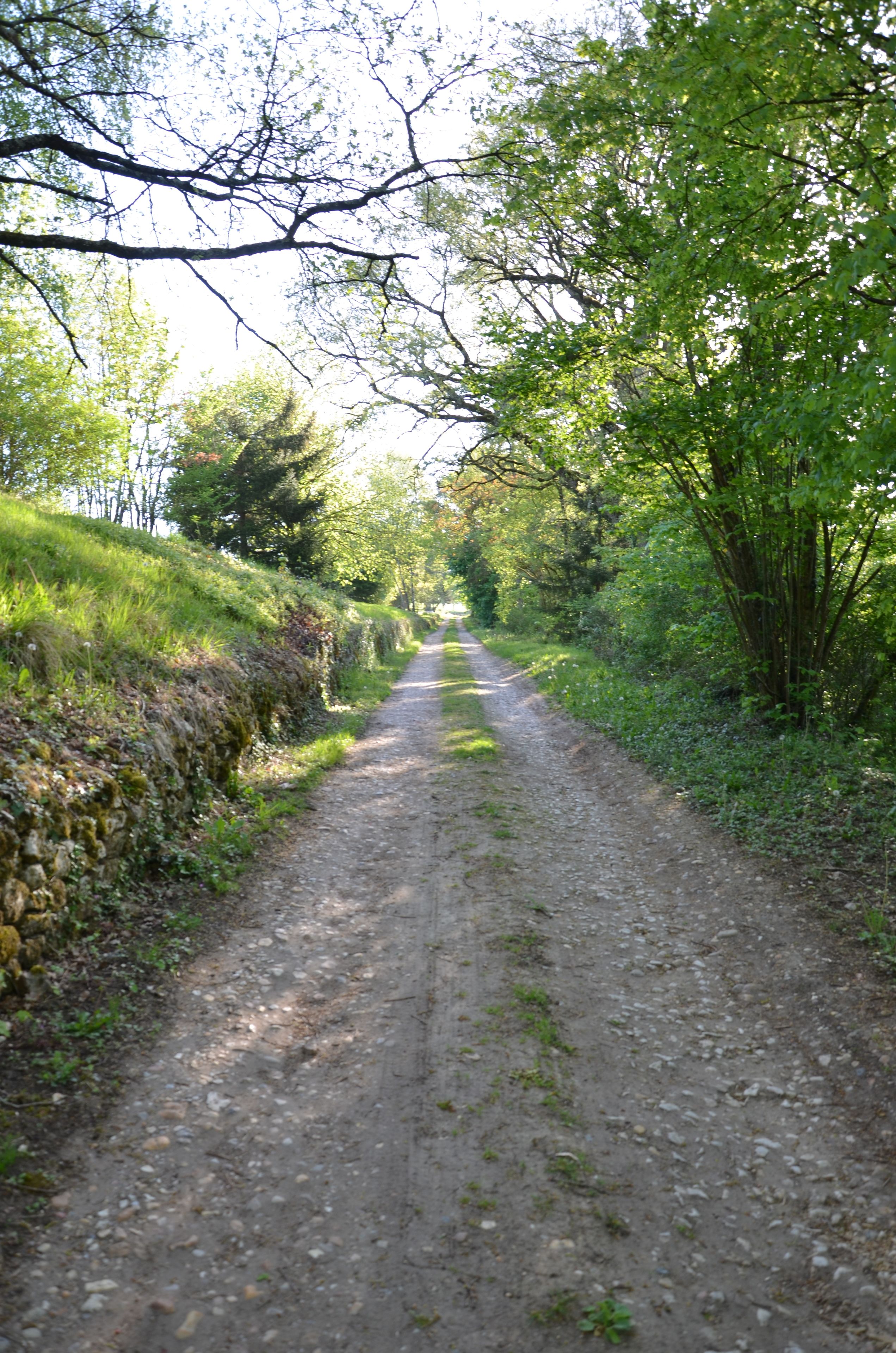 A rural dirt road flanked by trees and a stone wall.