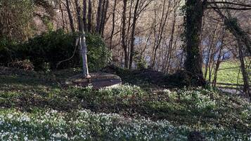 Een natuurlandschap met verschillende bomen, een waterpartij en sneeuwklokjes.