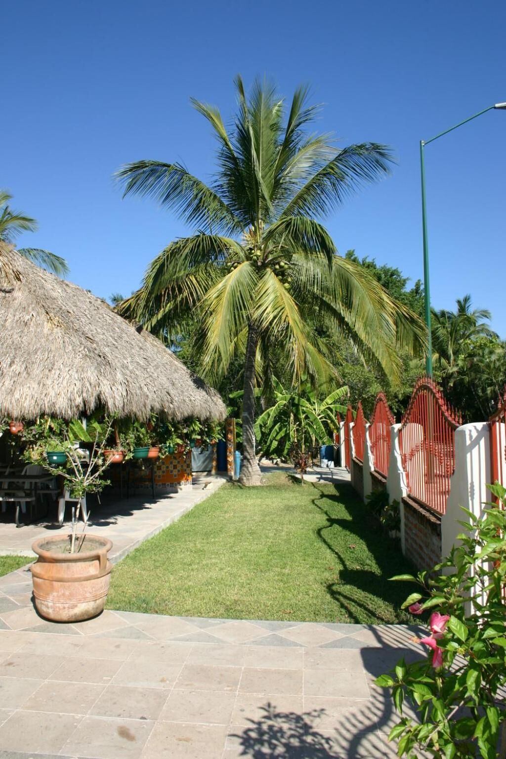 A thatched-roof structure with a paved patio, a palm tree, and a red gate.