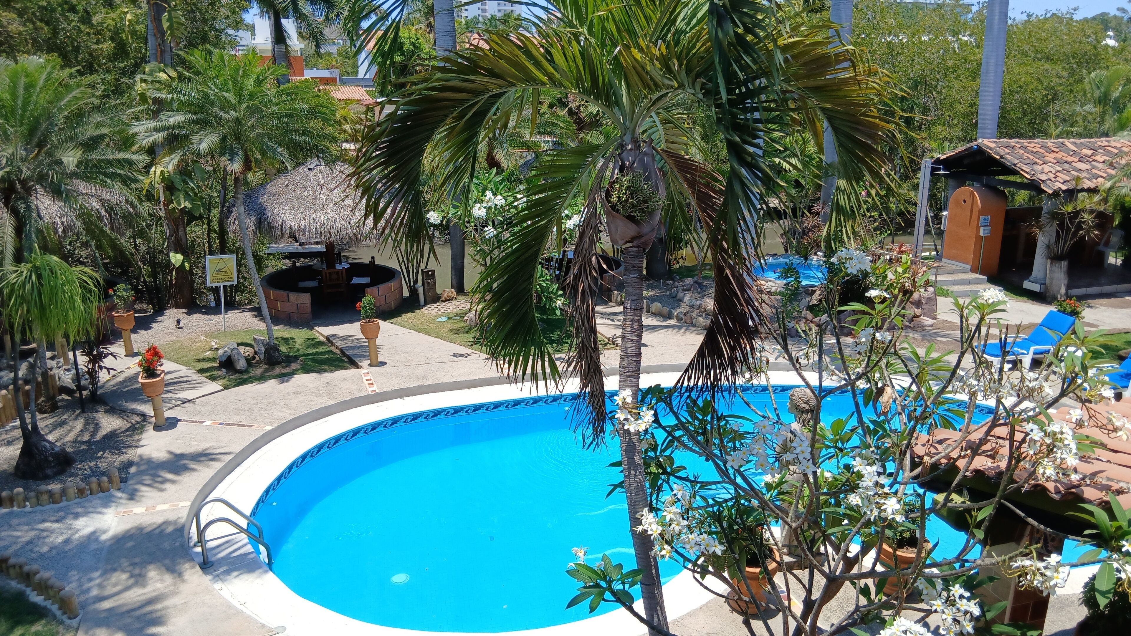 Une piscine entourée de palmiers et de plantes en pot, avec une structure à toit de chaume et des chaises longues en arrière-plan.