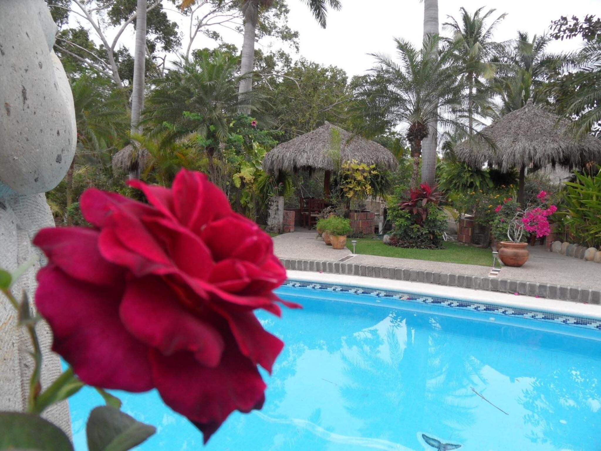 A swimming pool surrounded by tropical vegetation and thatched-roof structures.
