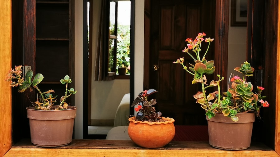 Hotel Ocho Barrios