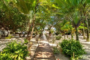 Property grounds - Oceanfront retreat with water view, pool, AC & free WiFi - easy beach access (Placencia)