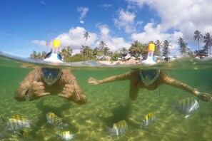 Dos buceadores bajo el agua, con una playa y palmeras al fondo.