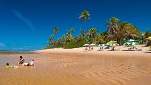 Una playa con aguas cristalinas, palmeras y sombrillas.