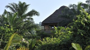 Ein reetgedecktes Bungalow, umgeben von dichtem tropischen Grün.