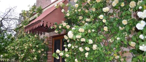 Détail de l’extérieur