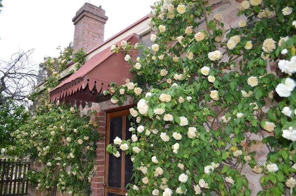 Exterior detail - Homely Cottage nestled in the award-winning Heritage Garden (Gillentown)