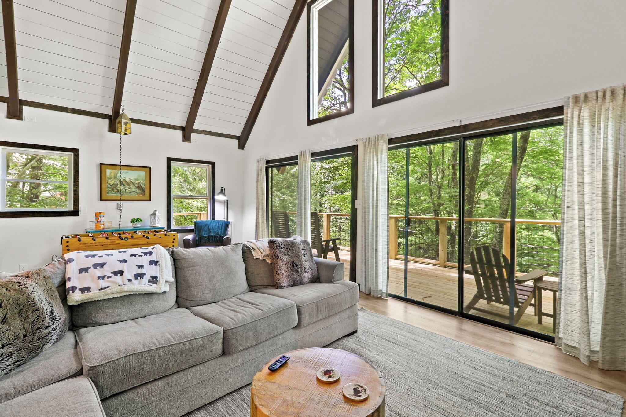 Smart TV, fireplace, table football, books