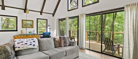 Smart TV, chimenea, futbolito y libros