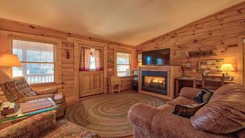 TV, fireplace, books