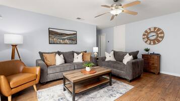 TV, Netflix, streaming services, video library