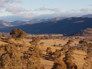 Unclassified image, 5 of 43, button