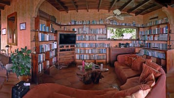Televisión, chimenea, reproductor de DVD y tenis de mesa
