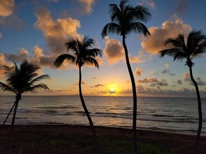 Une vue au coucher du soleil, avec des palmiers se découpant en silhouette sur le ciel.