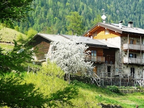 Exterior - Cozy Cottage on the mountains in Trentino Alto Adige Valle dei Mocheni (SANT'ORSOLA TERME)