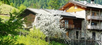 Cozy Cottage on the mountains in Trentino Alto Adige Valle dei Mocheni