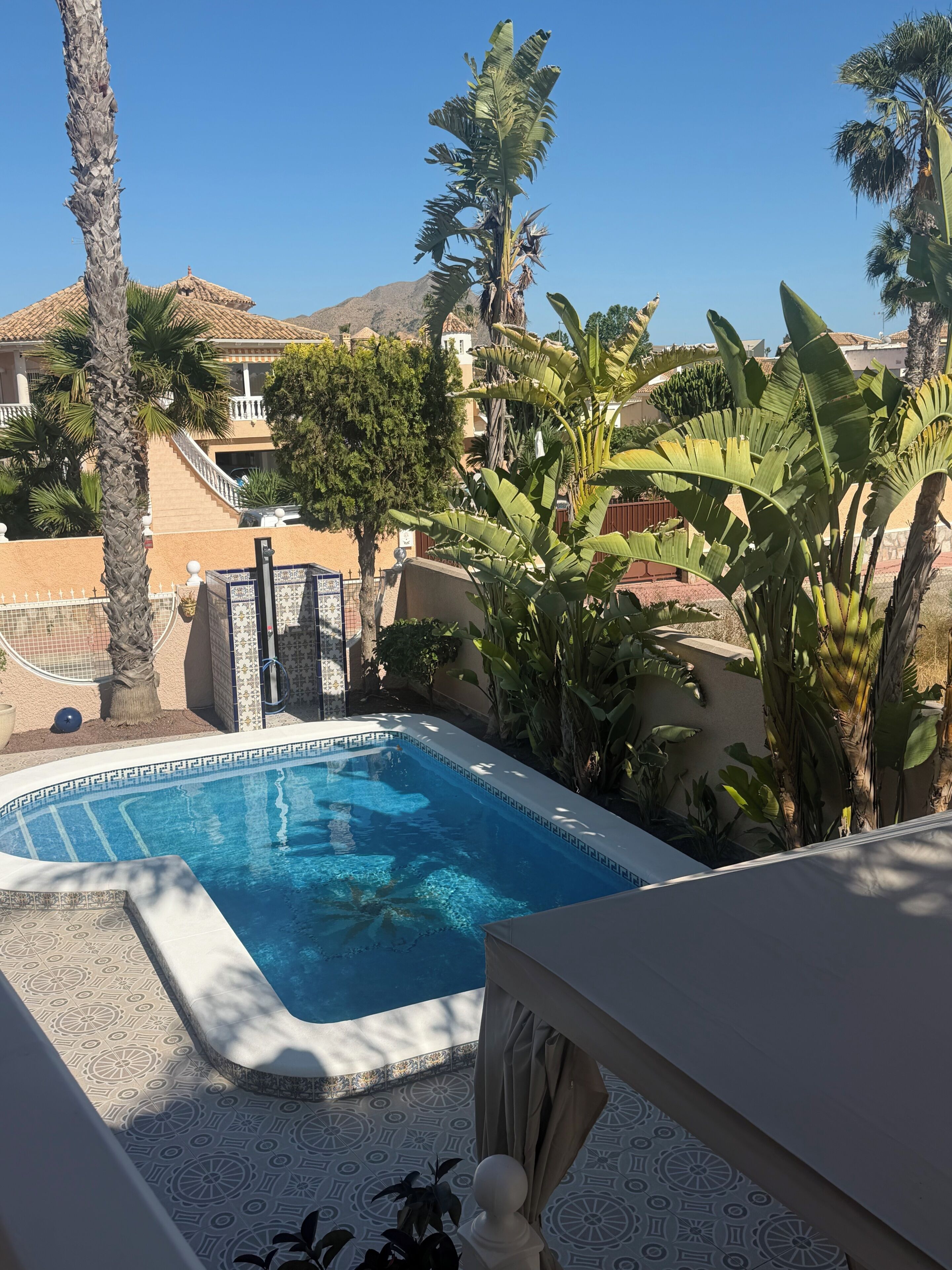 A swimming pool with a tiled edge, surrounded by palm trees and a building with a tiled roof.