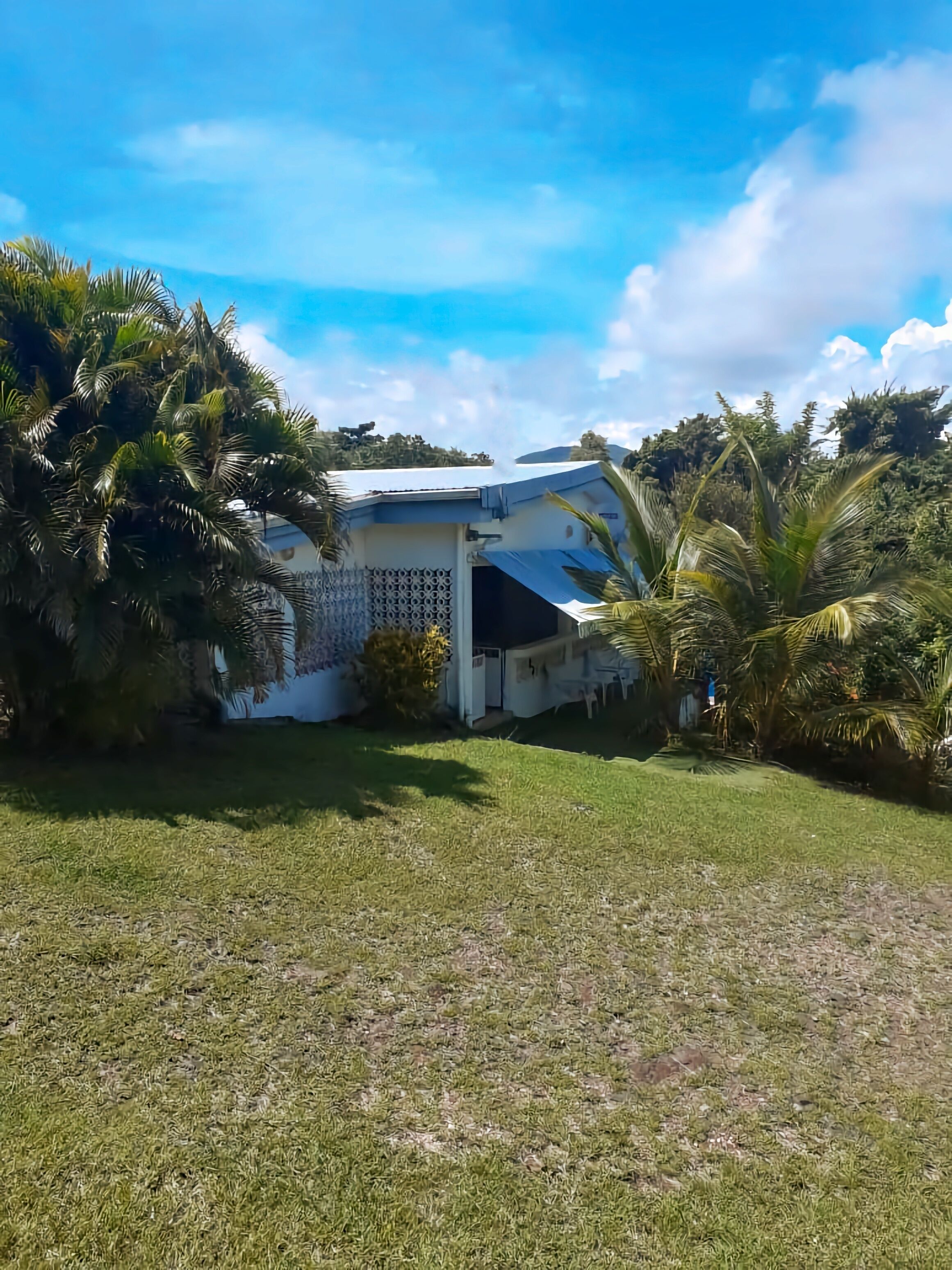 A house with a white exterior, surrounded by lush greenery and palm trees.