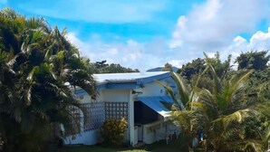 Una casa con fachada blanca, rodeada de abundante vegetación y palmeras.