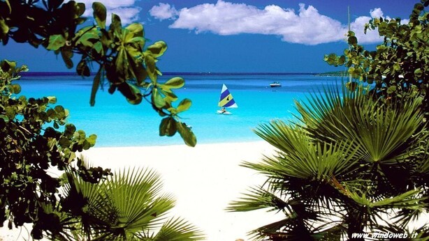 A beach with clear turquoise water, a sailboat, and lush greenery framing the view.