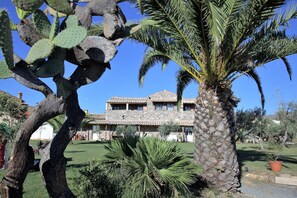 Surrounded by lush gardens and a majestic palm tree, this charming hotel offers a tranquil retreat.
