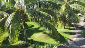A well-maintained garden with palm trees and a stone pathway.