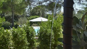 A garden with a curved metal structure, a pool, and surrounding greenery.