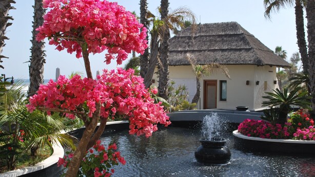 A fountain surrounded by pink flowers and palm trees, with a building in the background.